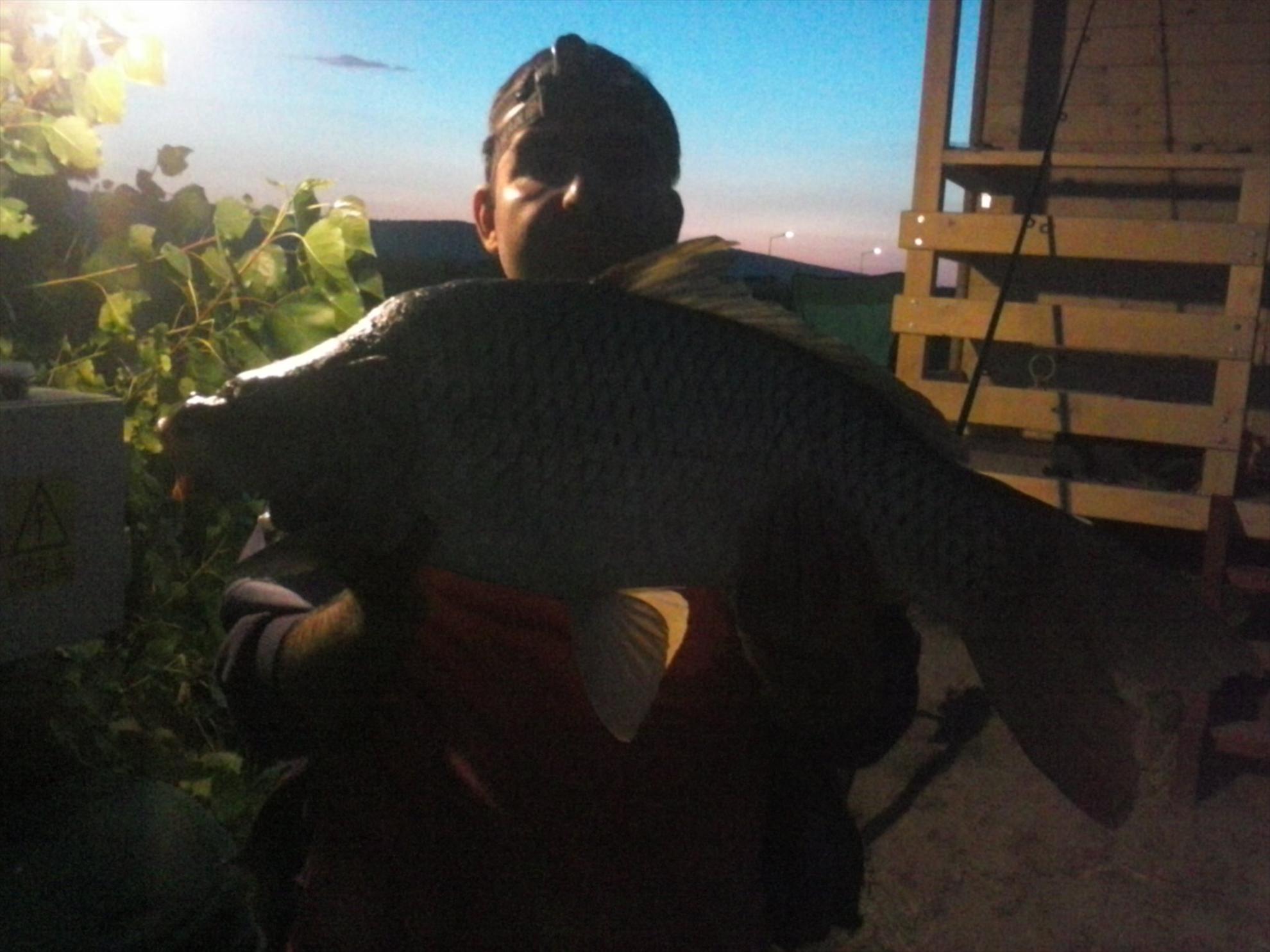 Pleasa 2013 - crap comun 5,8 kg